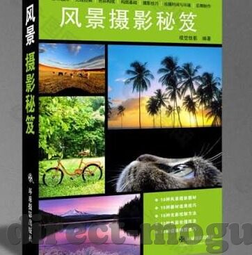 动漫成人视频-动漫成人视频，文化现象与影响