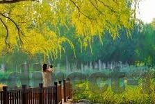果冻传媒麻豆直播-探索果冻传媒与麻豆直播的融合，数字时代的娱乐新视角