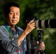 麻豆传文化传媒网站入口免费-深入麻豆传文化，探索免费资源平台与网络学习新航道