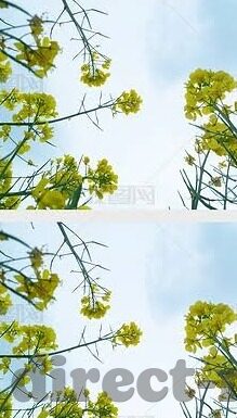 糖心app排行-探索糖心APP在娱乐应用中的流行趋势及其影响