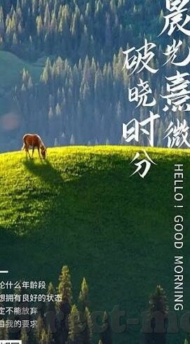 糖心vlog成人兑换码-探索现代成人娱乐内容，如何在正确认知下享受糖心Vlog成人的独特魅力