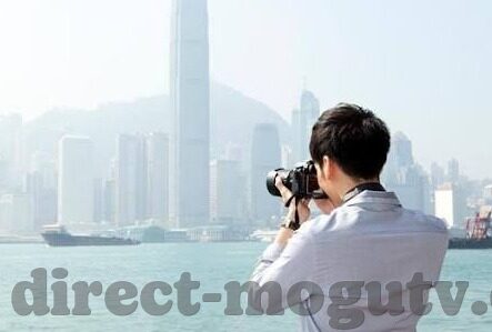 糖心vlog捅主任-揭秘糖心Vlog与捅主任背后的故事——网络文化的双刃剑