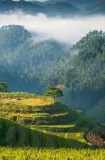 糖心vlog原创出品-动人时光，糖心vlog原创呈现，记录平凡生活的非凡瞬间