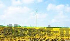 糖心直播官网入口-审慎对待直播平台，理解糖心直播官网的影响与选择