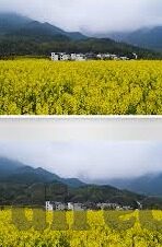 纤纤影视果冻传媒-纤纤影视与果冻传媒，创意与艺术的交融